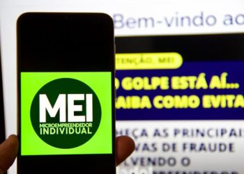 Desenvolvimento Comunitário: Engajamento Cidadão para um Futuro Melhor