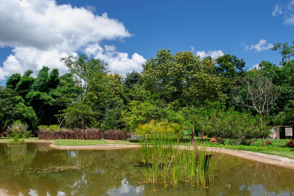 Ações do GDF — Tranquil pond surrounded by lush greenery under a bright blue sky in Brasília, Brazil.